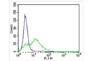 Overlay histogram showing U-87 MG cells stained with (ABIN6242283 and ABIN6578055) (green line). (DRD5 抗体  (C-Term))