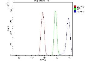 Flow Cytometry analysis of RH35 cells using anti-CGKI/PRKG1 antibody (ABIN7600502).