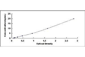 Typical standard curve (CD131 ELISA 试剂盒)