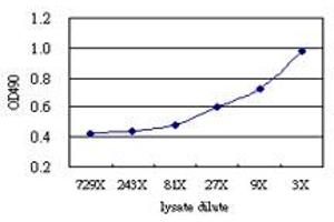 Sandwich ELISA detection sensitivity ranging from approximately 27x to 3x dilution of the ANXA1 293T overexpression lysate (non-denatured).