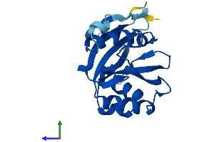 Protein Structure (PS) image for Nudix (Nucleoside Diphosphate Linked Moiety X)-Type Motif 16 (NUDT16) (AA 1-195) protein (His tag) (ABIN7564084)