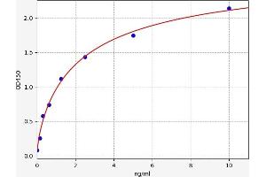 Typical standard curve (XDH ELISA 试剂盒)