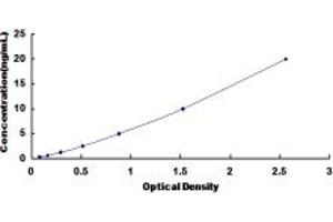 Typical standard curve (HDAC5 ELISA 试剂盒)