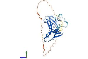 Protein Structure (PS) image for Protein Kinase, AMP-Activated, beta 2 Non-Catalytic Subunit (PRKAB2) (AA 1-271) protein (His tag) (ABIN7558027)