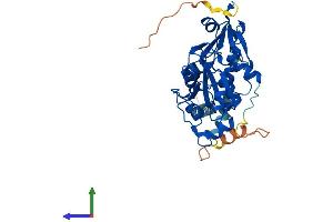 Protein Structure (PS) image for Phosphate Cytidylyltransferase 2, Ethanolamine (PCYT2) (AA 1-389) protein (His tag) (ABIN7550668)