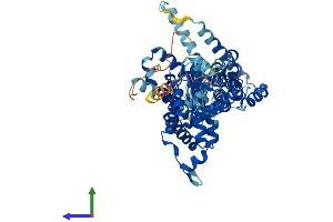 Protein Structure (PS) image for Solute Carrier Family 26, Member 11 (SLC26A11) (AA 1-606) protein (His tag) (ABIN7551681)