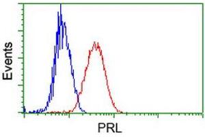 Image no. 6 for anti-Prolactin (PRL) antibody (ABIN1500429) (Prolactin 抗体)