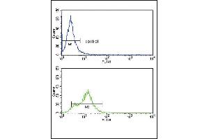Flow Cytometry (FACS) image for anti-Activin A Receptor Type II-Like 1 (ACVRL1) (AA 474-503), (C-Term) antibody (ABIN392242)