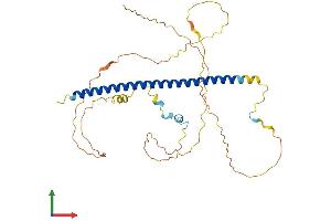 Protein Structure (PS) image for Activating Transcription Factor 4 (Tax-Responsive Enhancer Element B67) (ATF4) (AA 1-349) protein (His tag) (ABIN7563605)