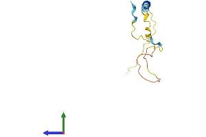 Protein Structure (PS) image for Melan A (MLANA) (AA 1-118) protein (His tag) (ABIN7549319)