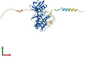 Protein Structure (PS) image for Mitogen-Activated Protein Kinase-Activated Protein Kinase 3 (MAPKAPK3) (AA 1-384) protein (His tag) (ABIN7563735)