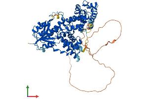 Protein Structure (PS) image for Cryptochrome 1 (Photolyase-Like) (CRY1) (AA 1-586) protein (His tag) (ABIN7553559)