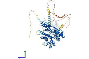 Protein Structure (PS) image for SEC63 Homolog (SEC63) (AA 1-760) protein (His tag) (ABIN7555376)
