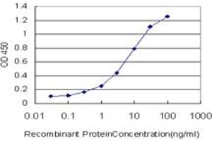 Detection limit for recombinant GST tagged ERMAP is approximately 0. (ERMAP 抗体  (AA 376-475))
