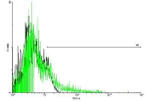 FACS analysis of negative control 293 cells (Black) and ADRB2 expressing 293 cells (Green) using ADRB2 purified MaxPab mouse polyclonal antibody. (beta 2 Adrenergic Receptor 抗体  (AA 1-413))