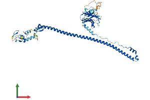 Protein Structure (PS) image for Tripartite Motif Containing 6 (TRIM6) (AA 1-488) protein (His tag) (ABIN7544775)