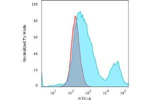 Flow Cytometric Analysis of PFA-fixed HeLa cells using Cytokeratin 18 Mouse Monoclonal Antibody (C-04) followed by Goat anti-Mouse IgG-CF488 (Blue); Isotype Control (Red) (Cytokeratin 18 抗体)