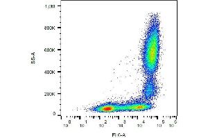 Surface staining of human peripheral blood with anti-human CD11b (MEM-174) APC. (CD11b 抗体  (APC))