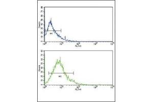 Flow Cytometry (FACS) image for anti-Solute Carrier Family 2 (Facilitated Glucose Transporter), Member 2 (SLC2A2) (AA 31-60) antibody (ABIN3029024)
