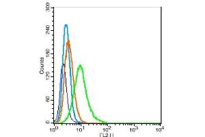 Flow Cytometry (FACS) image for anti-gamma-aminobutyric Acid (GABA) A Receptor, alpha 2 (GABRA2) (AA 185-280) antibody (ABIN1387528)
