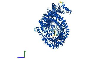 AlphaFold protein structure predicition of Mouse Recombinant Ipo11 Protein, UniprotID Q8K2V6