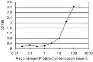 Sandwich ELISA detection sensitivity ranging from 1 ng/mL to 100 ng/mL. (HDAC7 (人) Matched Antibody Pair)