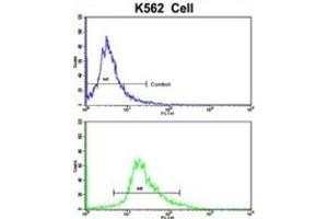 Flow Cytometry (FACS) image for anti-CCR4 Carbon Catabolite Repression 4-Like (CCRN4L) antibody (ABIN3002711) (CCRN4L 抗体)