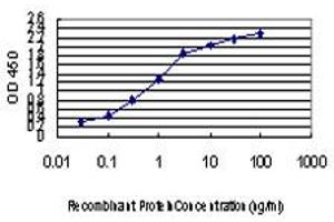 Detection limit for recombinant GST tagged IRX5 is approximately 0. (IRX5 抗体  (AA 204-264))