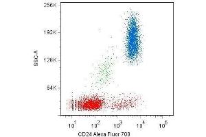 Surface staining of human peripheral blood cells with anti-CD24 (SN3) Alexa Fluor® 700. (CD24 抗体  (APC))