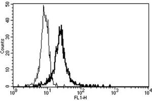 Flow Cytometry (FACS) image for anti-Thrombomodulin (THBD) antibody (FITC) (ABIN1105880) (Thrombomodulin 抗体  (FITC))