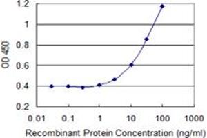 Detection limit for recombinant GST tagged LMO4 is 0. (LMO4 抗体  (AA 1-165))