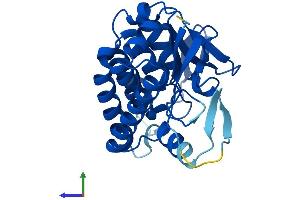 AlphaFold protein structure predicition of Human Recombinant PNPLA4 Protein, UniprotID P41247