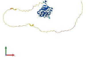 Protein Structure (PS) image for Acidic (Leucine-Rich) Nuclear phosphoprotein 32 Family, Member E (ANP32E) (AA 1-260) protein (His tag) (ABIN7556831)