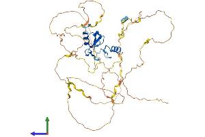 Protein Structure (PS) image for Cas-Br-M (Murine) Ecotropic Retroviral Transforming Sequence-Like 1 (CBLL1) (AA 1-491) protein (His tag) (ABIN7548199)