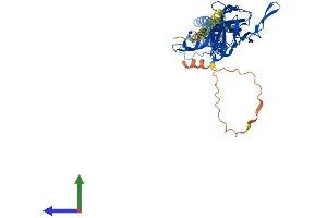 Protein Structure (PS) image for Potassium Inwardly-Rectifying Channel, Subfamily J, Member 6 (KCNJ6) (AA 1-423) protein (His tag) (ABIN7554300)