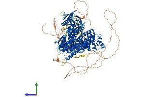 Protein Structure (PS) image for FERM, RhoGEF and Pleckstrin Domain Protein 2 (FARP2) (AA 1-1054) protein (His tag) (ABIN7553873)