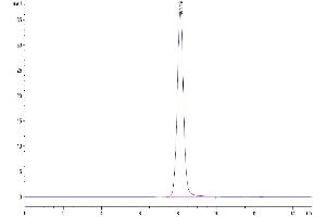 The purity of Human EPHA5 is greater than 95 % as determined by SEC-HPLC.