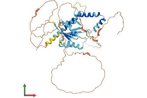 Protein Structure (PS) image for Spermatogenesis and Oogenesis Specific Basic Helix-Loop-Helix 2 (SOHLH2) (AA 1-425) protein (His tag) (ABIN7546146)