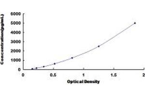 Typical standard curve (AGGF1 ELISA 试剂盒)