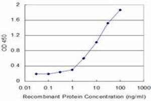 Detection limit for recombinant GST tagged HK2 is approximately 0. (Hexokinase 2 抗体  (AA 818-917))