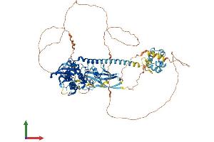 Protein Structure (PS) image for Mitogen-Activated Protein Kinase Kinase Kinase MLT (ZAK) (AA 1-800) protein (His tag) (ABIN7554596)