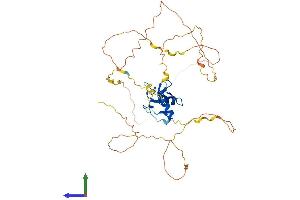 Protein Structure (PS) image for GATA Binding Protein 4 (GATA4) (AA 1-442) protein (His tag) (ABIN7554005)