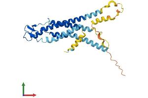 Protein Structure (PS) image for Gap Junction Protein, beta 5, 31,1kDa (GJB5) (AA 1-271) protein (His tag) (ABIN7556873)
