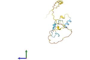 Protein Structure (PS) image for Small Nuclear Ribonucleoprotein 27kDa (U4/U6.U5) (SNRNP27) (AA 1-155) protein (His tag) (ABIN7546069)