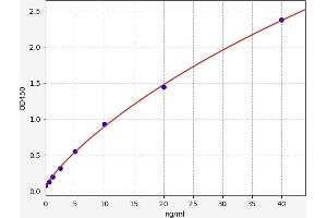 Typical standard curve (MITF ELISA 试剂盒)