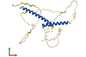 Protein Structure (PS) image for Oligodendrocyte Transcription Factor 1 (OLIG1) (AA 1-271) protein (His tag) (ABIN7550232)