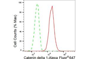 Flow cytometric analysis of Catenin delta 1 expression in C2C12 cells using Catenin delta 1 antibody (ABIN7797934), 1:2,000).