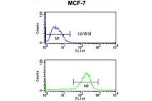 Flow Cytometry (FACS) image for anti-Nuclear Import 7 Homolog (NIP7) antibody (ABIN3003870) (NIP7 抗体)