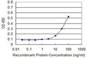 Detection limit for recombinant GST tagged PHKG2 is approximately 10ng/ml as a capture antibody. (PHKG2 抗体  (AA 1-406))