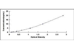 Typical standard curve (GP5 ELISA 试剂盒)